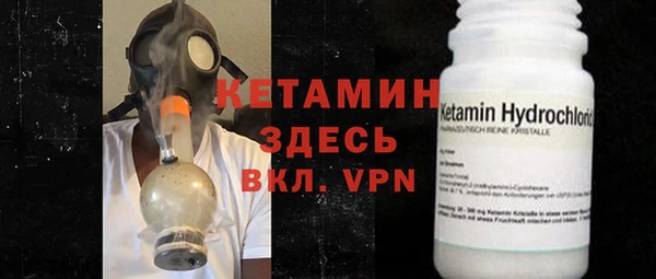 стаф Аркадак