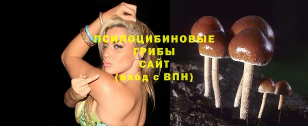 spice Арсеньев