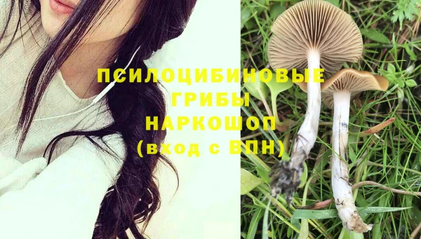 прущие грибы Алексеевка