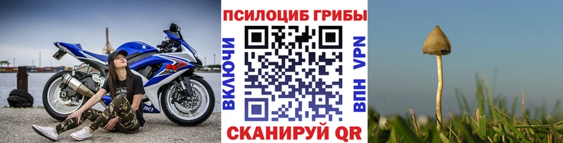 мега ТОР  закладка  Нижний Ломов  Псилоцибиновые грибы Magic Shrooms 